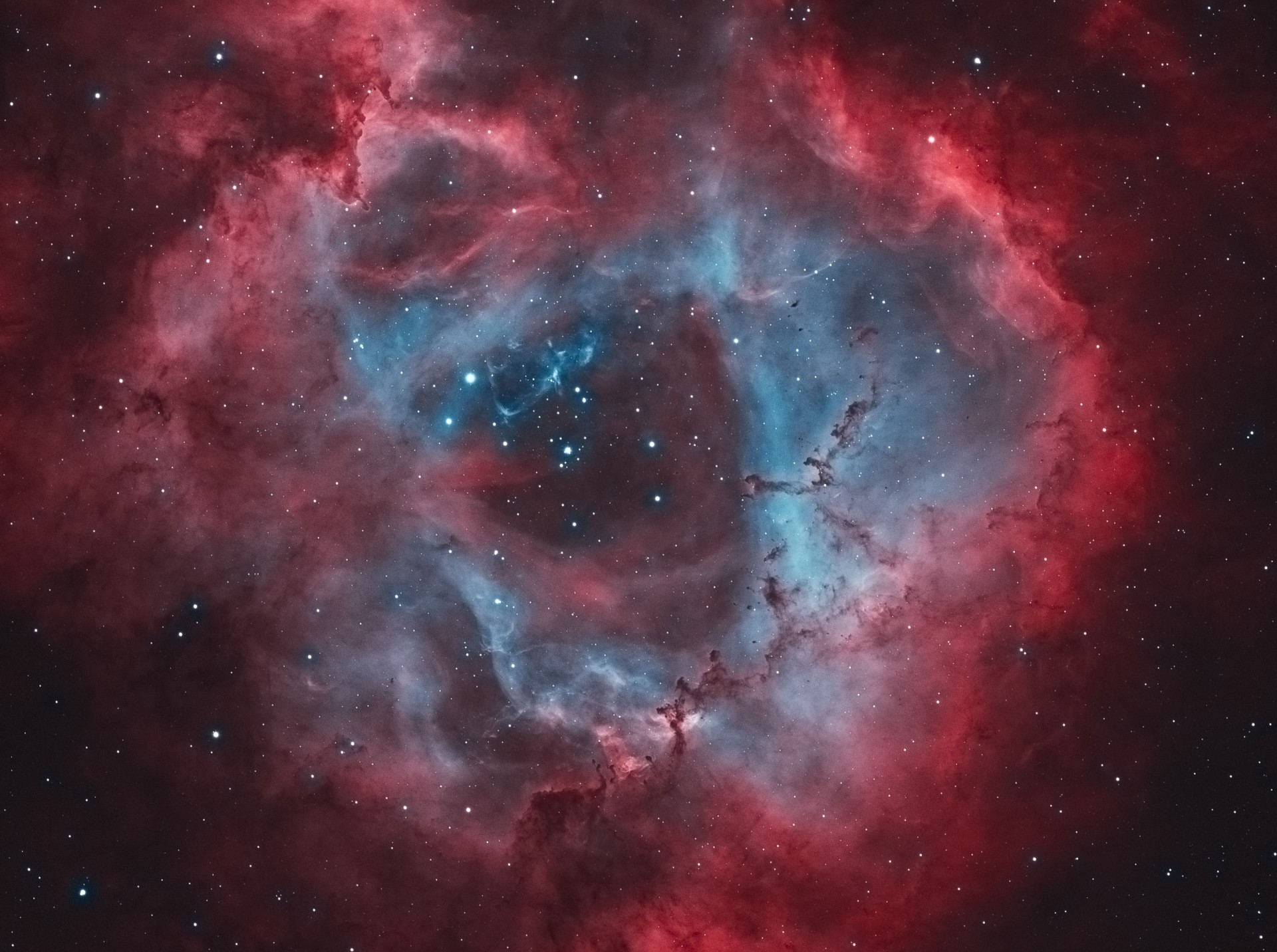 NGC2237 玫瑰星云- 深空天体- 作品- 苏州墨空视觉技术有限公司